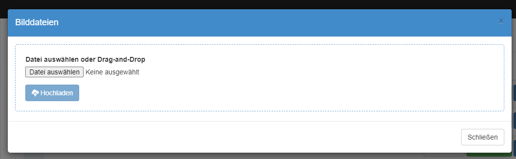 Upload-Dialog für Standarmodelle