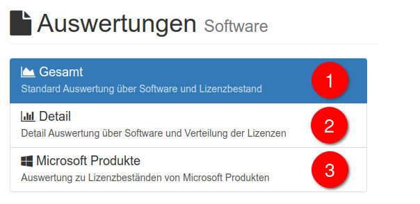 Software-Reportings